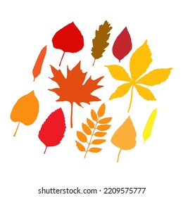 Colorful Autumn leaves illustration set