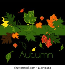 Colorful autumn leaves isolated on white background