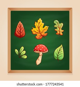 colorful autumn leaves with mushroom on green chalkboard background