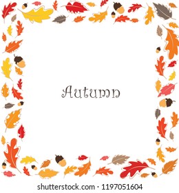 Colorful autumn leaves and nut vector background.