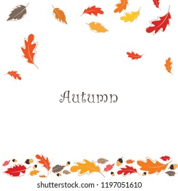 Colorful autumn leaves and nut vector background.