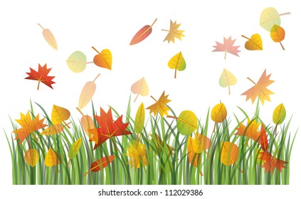 Colorful autumn leaves on the green grass illustration