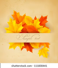 Colorful autumn leaves on a old paper  Back to school background  Vector