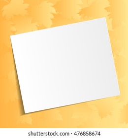 Colorful autumn leaves on a white background. Vector.