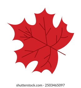 Colorful autumn leaves in orange and red, Vector