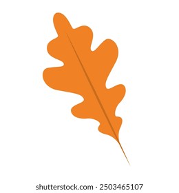Colorful autumn leaves in orange and red, Vector