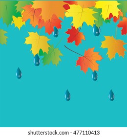 colorful autumn leaves raindrops vector art creative modern isolated light blue background elements for design