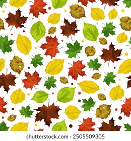 Colorful autumn leaves scattered on a white background
