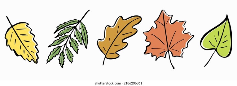 Colorful autumn leaves set. Contoured hand-drawn doodle elements. Autumn theme