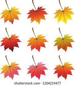 colorful autumn leaves set, decorative set of isolated colorful maple leaves silhouettes