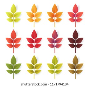 Colorful autumn leaves set isolated on white background. Paper cut 3d flat style, vector illustration.