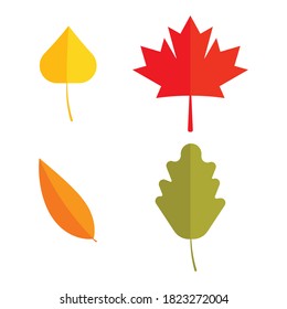 Colorful autumn leaves set isolated on white background. Vector illustration. Eps 10