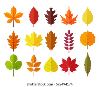 Colorful autumn leaves set, isolated on white background. Simple cartoon flat style, vector illustration.