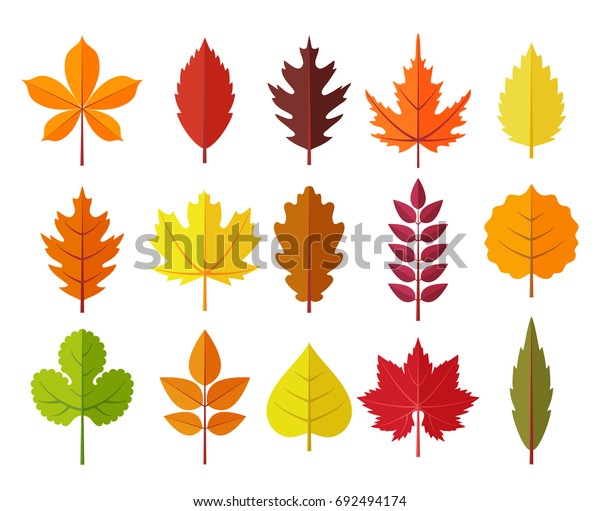 五颜六色的秋叶设置 隔离在白色背景 简约卡通平面风格 矢量插画 库存矢量图 免版税