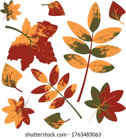 Colorful autumn leaves set. Simple flat style with texture, vector illustration.leaves of different plants
