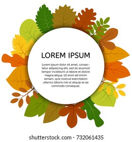 Colorful autumn leaves under white round label. Vector card with yellow leaves isolated on white background
