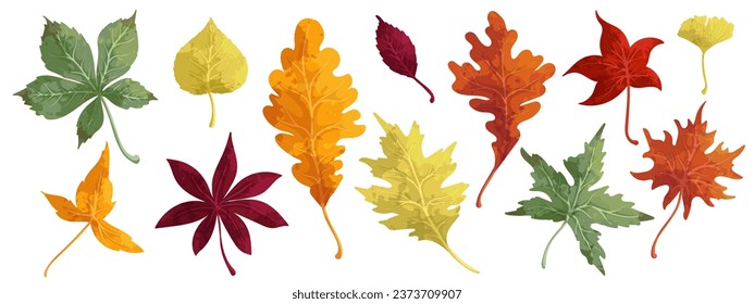 Colorful autumn leaves. Vector graphics.	