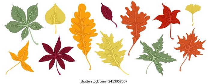 Colorful autumn leaves. Vector graphics.	