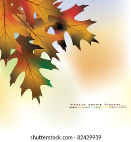 Colorful autumn leaves. Vector illustration