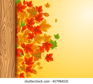 Colorful autumn leaves and wood background