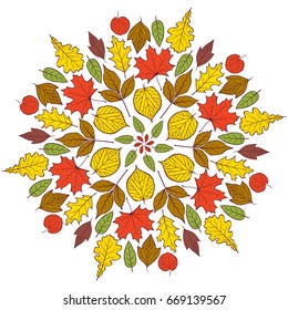 Colorful autumn mandala with autumn leaves on white background.Vector illustration.