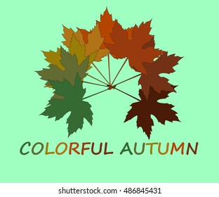 Colorful autumn maple leaf