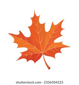 Farbiges Herbstapfelblatt einzeln auf weißem Hintergrund. Print, Herbstgrafik, Vektorgrafik