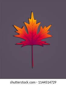 Colorful autumn maple leaf. Red, orange, purple color. Vector illustration on a dark background.