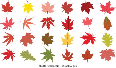 Colorful autumn maple leaf vector icon set illustration.