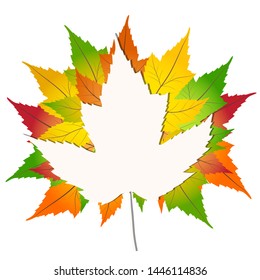 Colorful autumn maple leaves on a white paper Back to school background stock Vector illustration