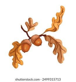 Colorful autumn oak branches with acorns. Vector graphics.