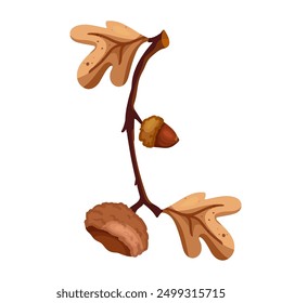 Colorful autumn oak branches with acorns. Vector graphics.