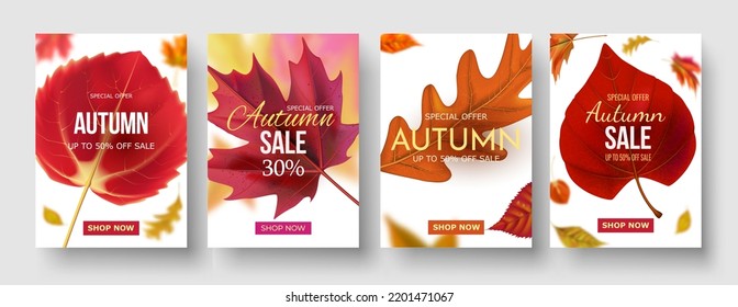 Colorful autumn poster set. Fall sale background with bright maple leaves, light effect, season type lettering discount text sign 50 percent, 30 Off everything. Vector illustration