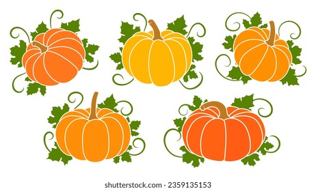 Colorful autumn pumpkins and leaves. Collection of orange pumpkins for Halloween and Thanksgiving design.