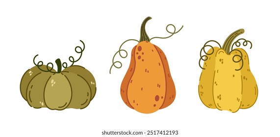 Colorful autumn pumpkins, vector icon set. Ripe farm gourds with curly stems. Festive garden vegetables for Halloween, Thanksgiving, holiday, fall party. Cartoon doodle, hand drawn isolated clipart
