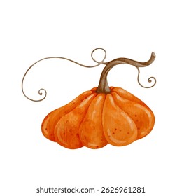 Colorful autumn ripe pumpkin.Vector graphics.