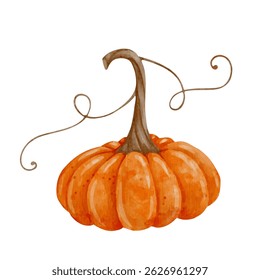 Colorful autumn ripe pumpkin.Vector graphics.