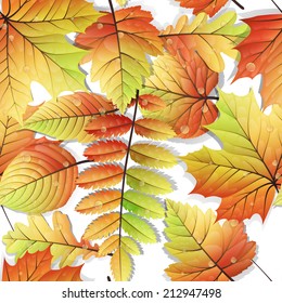 Colorful autumn seamless leaves isolated on white background. EPS 10 vector file included