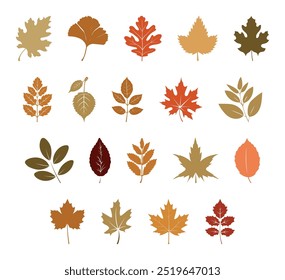 Colorful autumn set of leaves. Fall leaves isolated on transparent background collection. Vector silhouette leaves. Yellow foliage collection. Rowan, oak, maple, birch. Colorful autumn leaf set.