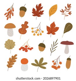 Colorful autumn set of leaves, mushrooms and acorns. Vector illustration clipart