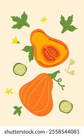 Colorful autumn squash and leaves illustration with sliced vegetables.