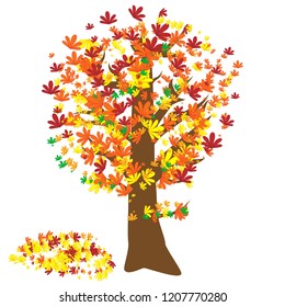 Colorful Autumn tree