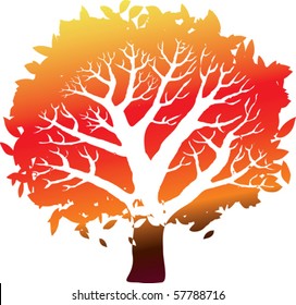 Colorful autumn tree