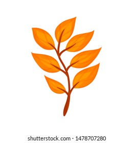 Colorful autumn tree leaf. Vector illustration isolated on a white background.