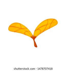 Colorful autumn tree leaf. Vector illustration isolated on a white background.