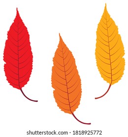 Farbiges Herbstblatt-Set