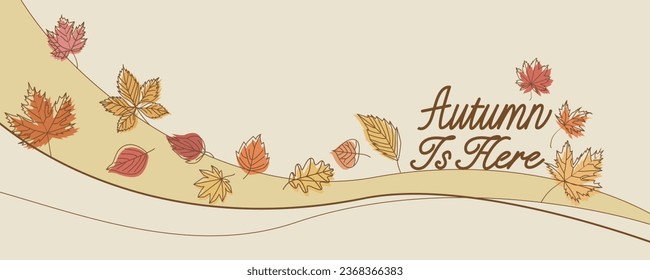 Colorful autumnal leaves decoration illustration. Autumn banner design for promotion, event and festival. Vector illustration.