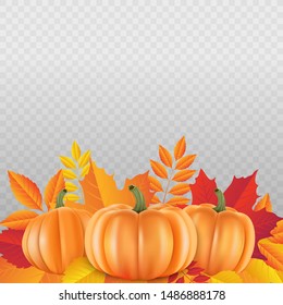 Colorful background for decoration autumn banner or shop. Realistic pumpkin and leaves. vector illustration