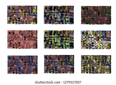 colorful background of flowers