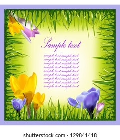 Colorful background with flowers and grass. Vector illustration.